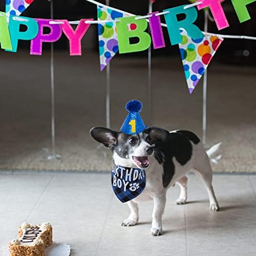 Кърпа за рождения Ден на кучето FLYSTAR с Шапка и номер - Клетчатая Скъпа шарена Кърпа под формата на Кученце за Малки, Средни и Големи Кучета за Момчетата - в Синьо Триъгълен Шал Bibis За Партита За кучета